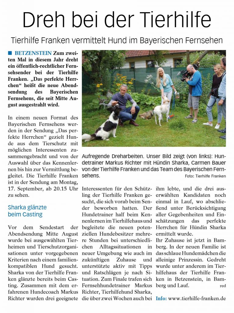 Dreh bei der Tierhilfe Tierhilfe Franken vermittelt Hund im Bayerischen Fernsehen BETZENSTEIN Zum zweiten Mal in diesem Jahr dreht ein öffentlich-rechtlicher Fernsehsender bei der Tierhilfe Franken. „Das perfekte Herr-chen“ heißt die neue Abendsendung des Bayerischen Fernsehens, die seit Mitte August ausgestrahlt wird. Inq einem neuen Format des Bayerischen Fernsehens werden in der Sendung „Das perfekte Herrchen“ gezielt Hun-de aus dem Tierschutz mit möglichen Interessenten zu-sammengebracht und von der Auswahl über das Kennenler-nen bis hin zur Vermittlung be-gleitet. Die Tierhilfe Franken ist in der Sendung am Montag, 17. September, ab 20.15 Uhr zu sehen. Sharka glänzte beim Casting Vor dem Sendestart der Abendsendung Mitte August wurde bei ausgewählten Tier-heimen und Tierschutzorgani-sationen unter vorgegebenen Kriterien nach einem familien-kompatiblen Hund gesucht. Sharka von der Tierhilfe Fran-ken glänzte bereits beim Cas-ting. Zusammen mit dem er-fahrenen Hundecoach Markus Richter wurden drei geeignete Interessenten für den Schütz-ling der Tierhilfe Franken ge-sucht, die sich vorab beim Sen-der beworben hatten. Der Hundetrainer half beim Ken-nenlernen im Tierhilfehaus und begleitete die neuen poten-ziellen Hundebesitzer mehre-re Stunden bei unterschiedli-chen Alltagssituationen in neuer Umgebung wie auch im zukünftigen Zuhause und unterstützte aktiv mit Tipps und Ratschlägen je nach Si-tuation. Zum Finale trafen sich Fernsehhundetrainer Markus Richter, Tierhilfehund Sharka, die über zwei Wochen auch bei ihm lebte, und die drei aus-erwählten Kandidaten noch einmal in Lauf, wo abschlie-ßend unter Berücksichtigung aller Gegebenheiten und Ein-schätzungen das perfekte Herrchen für Hündin Sharka ermittelt wurde. Ihr Zuhause ist jetzt in Bam-berg. In der neuen Familie ist das schlaue Hundemädchen die alleinige Prinzessin. Gedreht wurde unter anderem im Tier-hilfehaus der Tierhilfe Fran-ken in Betzenstein, in Bam-berg und Lauf. red Info: www.tierhilfe-franken.de Aufregende Dreharbeiten. Unser Bild zeigt (von links): Hun-detrainer Markus Richter mit Hündin Sharka, Carmen Bauer von der Tierhilfe Franken und das Team des Bayerischen Fern-sehens. Foto: Tierhilfe Franken